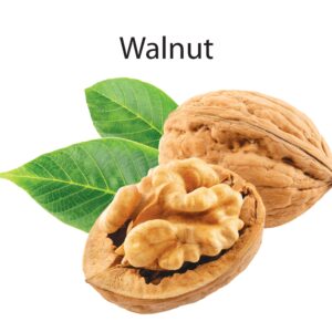 Walnut