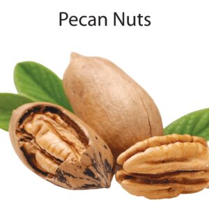 Pecan Nuts