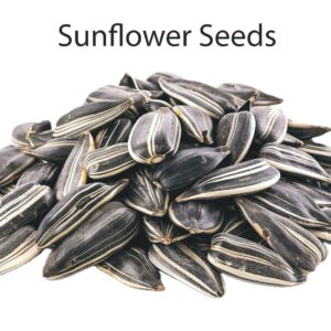 Sunflower Seeds